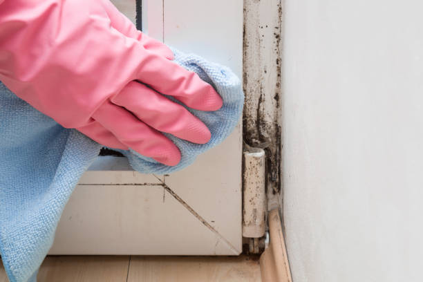 Best Residential Mold Inspection & Testing  in Delaware, OH