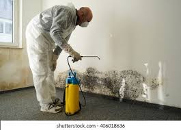 Best Basement Mold Removal  in Delaware, OH